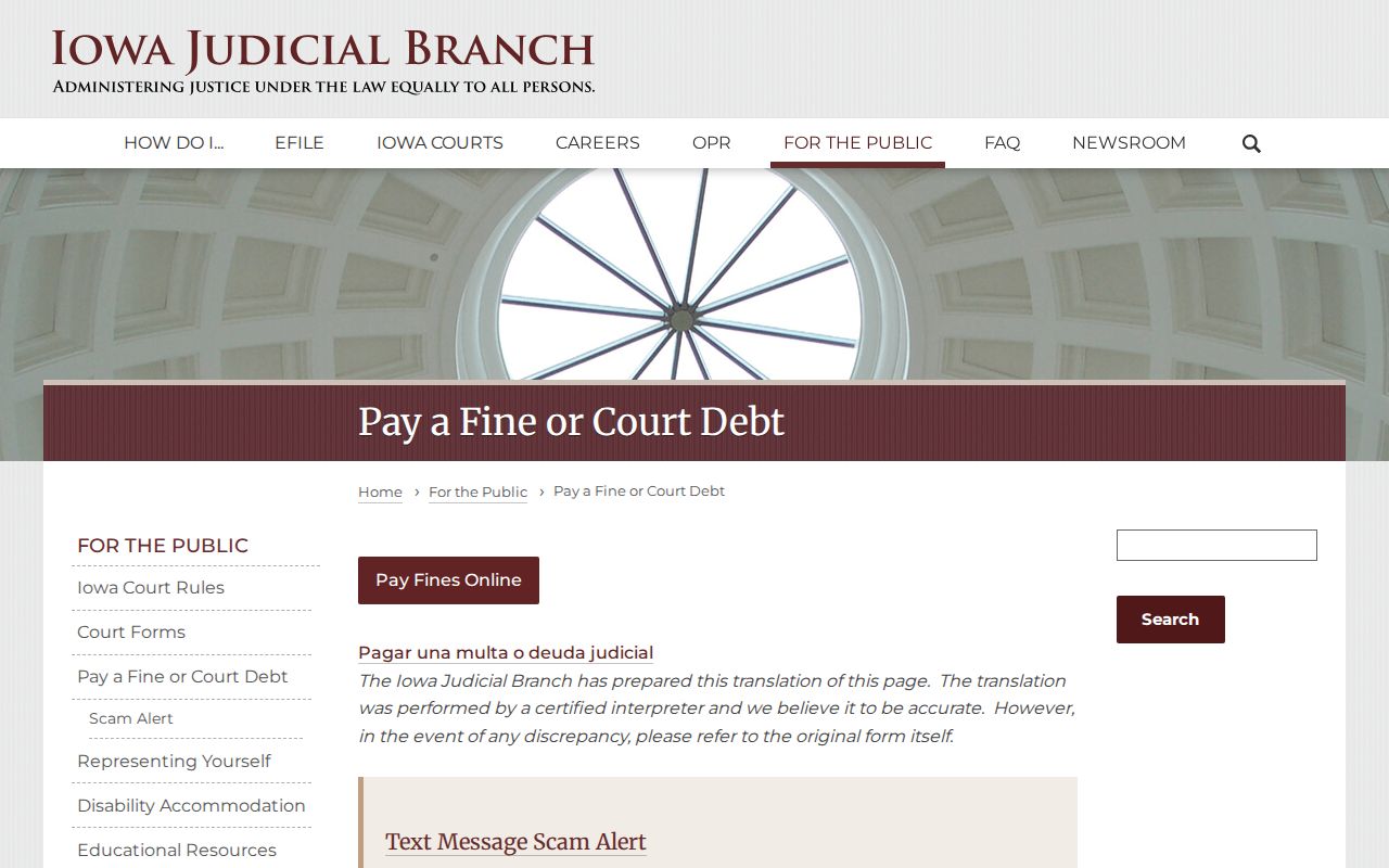 Tama County criminal court case debt lookup and payment screen